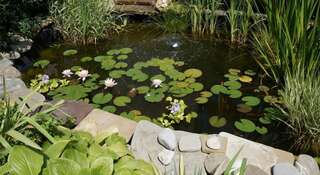 Гостиница Гостевой Дом Якорь Судак-0